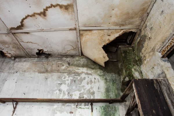 Cost of Water Damage Service in Lake Elsinore