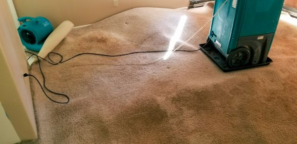 Cost of Flood Damage Cleanup in Lake Elsinore