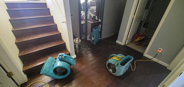 Cost of Water Damage Remediation in Lake Elsinore