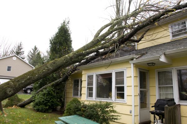 Hurricane Damage Repair in Lake Elsinore